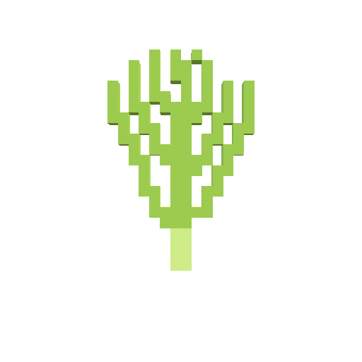 Leek